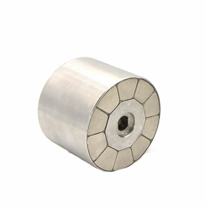 Rotor-Magnet-1.jpg